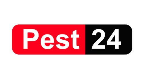 Pest 24 Limited